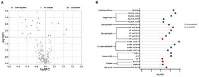 Outdoor particulate matter exposure affects metabolome in chronic obstructive pulmonary disease: Preliminary study